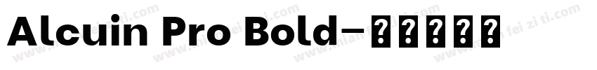 Alcuin Pro Bold字体转换